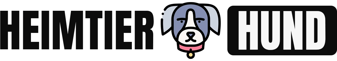 Hunde: Top 7 Produkte bei Amazon